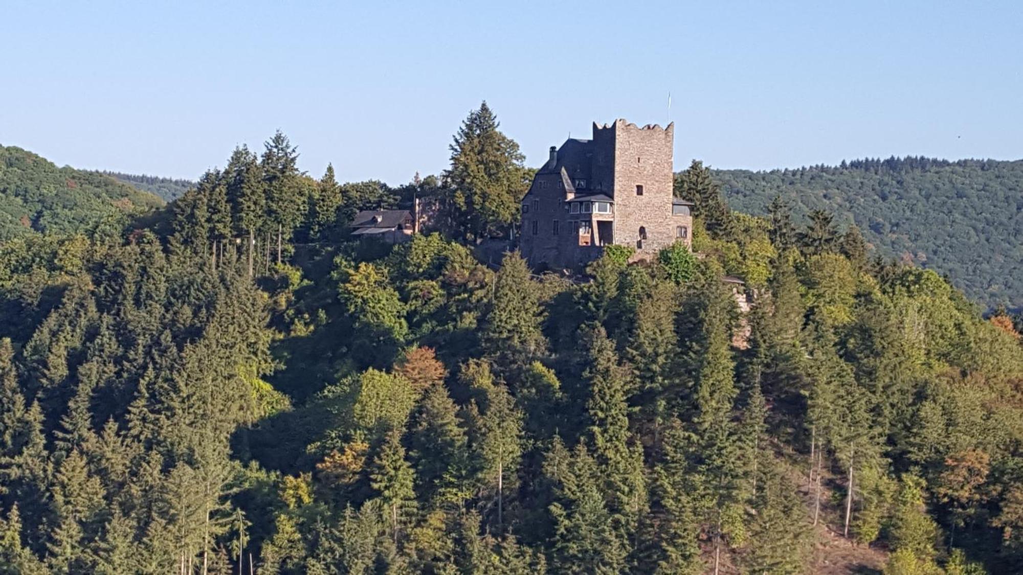 Ferienwohnung Sternenwald Alf Esterno foto
