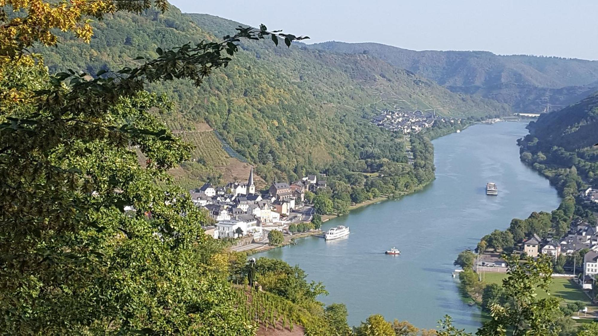 Ferienwohnung Sternenwald Alf Esterno foto