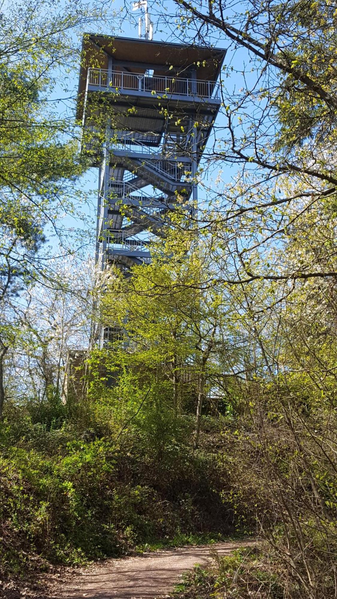 Ferienwohnung Sternenwald Alf Esterno foto