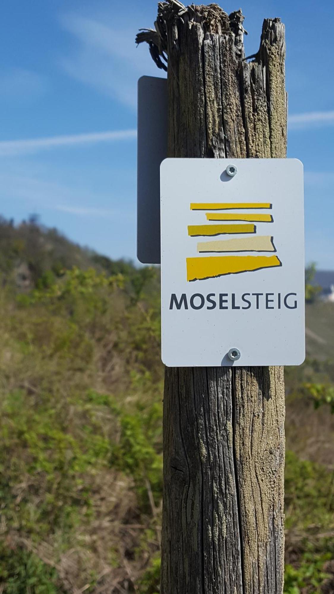 Ferienwohnung Sternenwald Alf Esterno foto