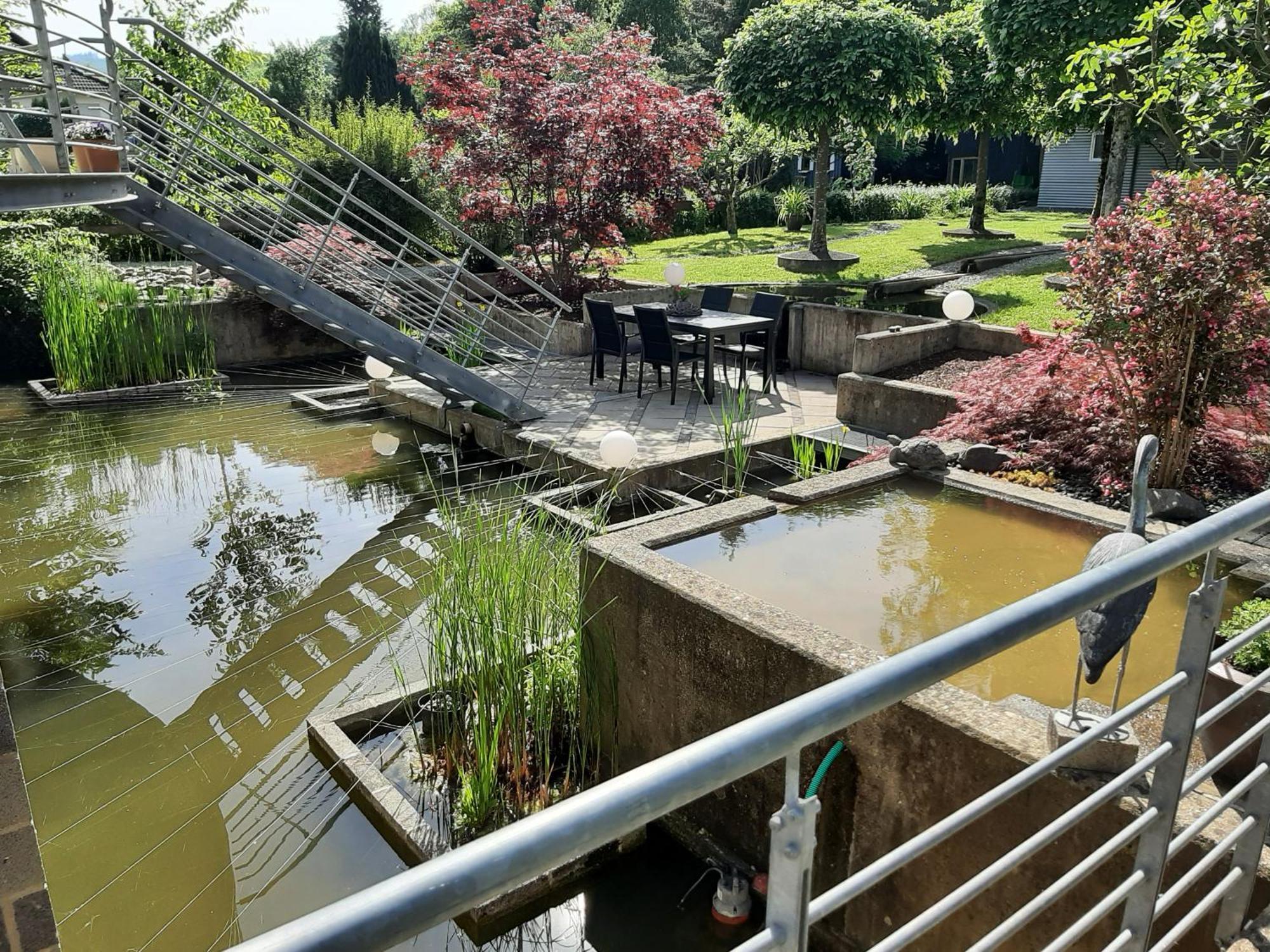 Ferienwohnung Sternenwald Alf Esterno foto